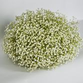 White Gyp Baby Breath Floral Ball