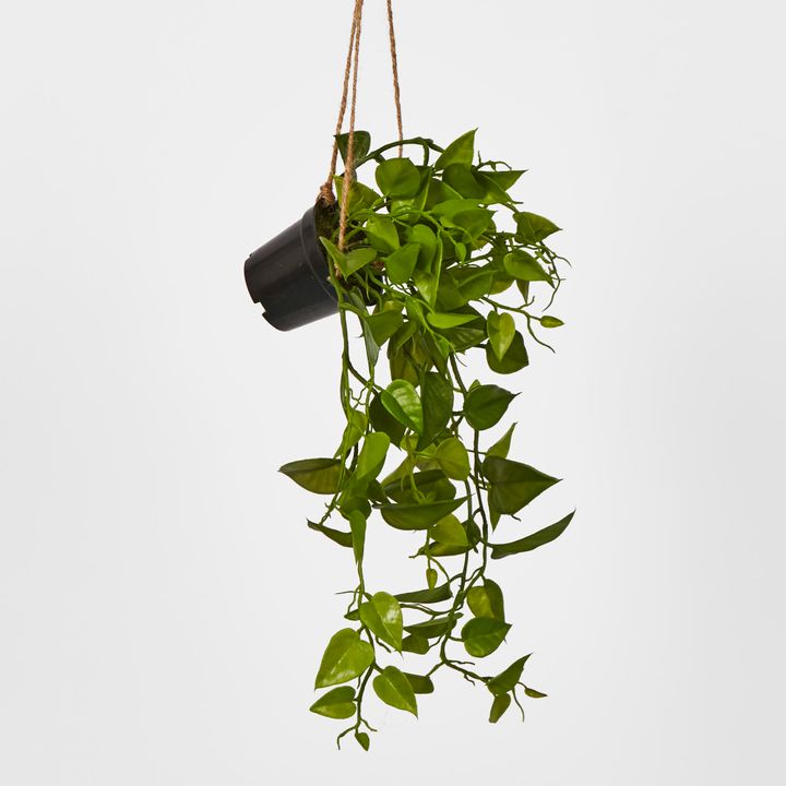 43cm Hanging Leaf in Black Pot