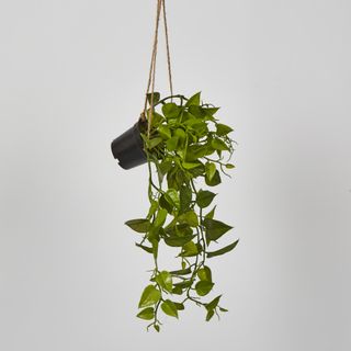 43cm Hanging Leaf in Black Pot