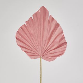 Pink Palm Leaf