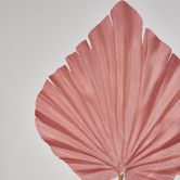 Pink Palm Leaf