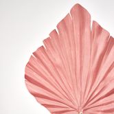 Pink Palm Leaf