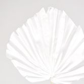 White Palm Leaf