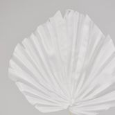 White Palm Leaf