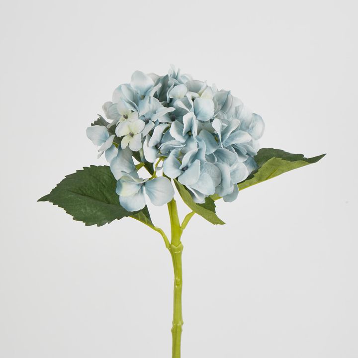 Slate Blue Hydrangea