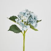 Slate Blue Hydrangea