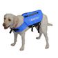 OTIS DOG NEO VEST