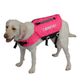 BELLA DOG NEO VEST