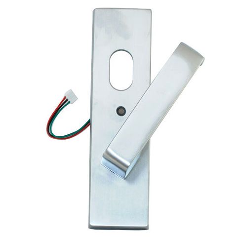 EXT PLATE W/CYLINDER HOLE, LED & LEVER SC