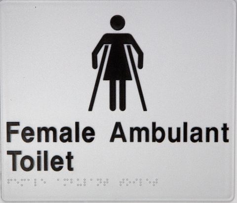 TSM BRAILLE FEMALE AMBULANT TOILET SIGN SILVER