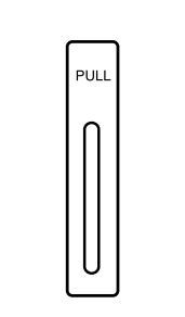 Lockwood 21824GN/P3SS 218 Exterior Plate W/Pull Outline + P3 Pull SS
