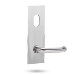 LOCKWOOD 224 ARTEFACT EXT PLATE W/CYL HOLE + 59 LEVER SS