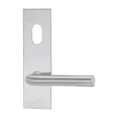 LOCKWOOD 224 ARTEFACT EXT PLATE W/CYL HOLE + 98 LEVER SS