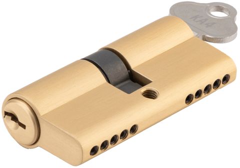 TRADCO EURO CYLINDER DUAL FUNCTION 5 PIN SB / BRUSHED BRASS