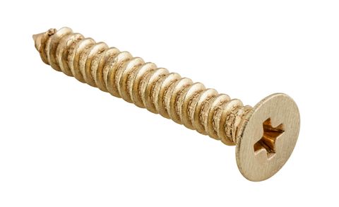 TRADCO SCREW HINGE PK 50 SATIN BRASS / BRUSHED BRASS