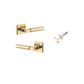 Iver TRA0410KIBPRIV60 Berlin Door Lever Square Rose Inbuilt Privacy Kit PB
