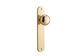 Door TRA10334 Knob Cambridge Oval Latch Polished Brass H240xw40xp67mm