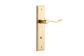 Door TRA10426P85 Lvr Stirling Stepped Priv Pr PB Ctc85mm H237xw50xp64mm