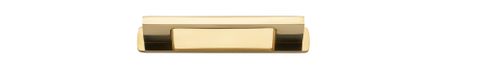Iver Cali Cabinet Pull W/ Backplate