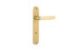 Iver TRA16364P85 Door Lvr Osaka Oval Priv Pr Brsh Gld PVD Ctc85 L120xp52