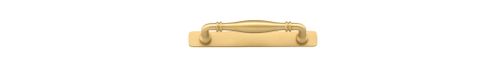 Iver Sarlat Cabinet Pull W/ Backplate