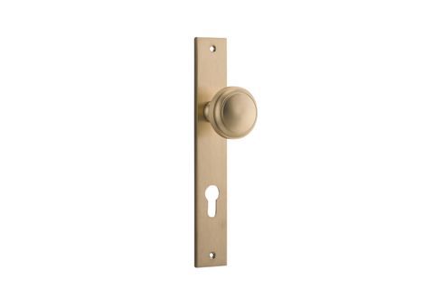 Dr TRA15320E85 Knob Paddington Rect Euro B/Brass Ctc85mm H240xw38xp68mm