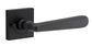 Door TRA21193KIBPRIV60 Lvr Cphgn Sqr Rose Inbuilt Priv Pair Mb H52XW52XP61