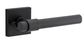 Door TRA21203KIBPRIV60 Lvr Helsinki Sqr Rose Inbuilt Priv Pair Mb H52XW52XP44