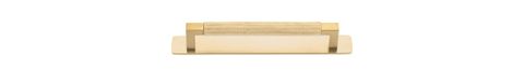 Iver Brunswick Cabinet Pull W/ Backplate