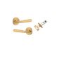 Door TRA20806KIBPRIV60 Lvr Cphgn Rnd Rose Inbuilt Priv Pair B/Brass D58XP61