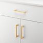 Cabinet TRA20886 Pull Baltimore B/Brass L146xw8xp36mm Bd18mm Ctc128mm