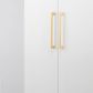 Cabinet TRA20906 Pull Baltimore B/Brass L276xw8xp36mm Bd20mm Ctc256mm