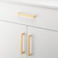 Cabinet TRA20966 Pull Osaka B/Brass L175xw15xp30mm Bd15mm Ctc160mm