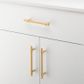 Cabinet TRA21006 Pull Helsinki B/Brass L173xp36mm Bd11mm Ctc128mm