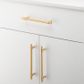 Cabinet TRA21016 Pull Helsinki B/Brass L205xp36mm Bd11mm Ctc160mm