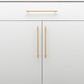 Cabinet TRA21026 Pull Helsinki B/Brass L301xp36mm Bd11mm Ctc256mm