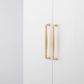 Cabinet TRA21086 Pull Sarlat Brushed Brass L274xp48mm Bd18mm Ctc256mm