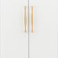 Cabinet TRA21086 Pull Sarlat Brushed Brass L274xp48mm Bd18mm Ctc256mm