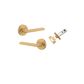Door TRA9365KIBPRIV60 Lever Inbuilt Privacy Baltimore Round Rose Satin Brass