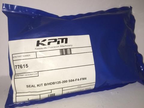 77615 - HMB/DB125-200 - Standard Seal Kit S04-F4-FM4