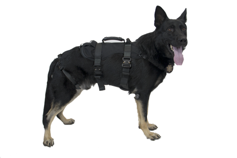 K9 Proseries Rappel Harness