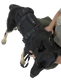 K9 Proseries Rappel Harness