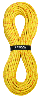 Tendon Salamander 10.2