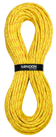 Tendon Salamander 10.2