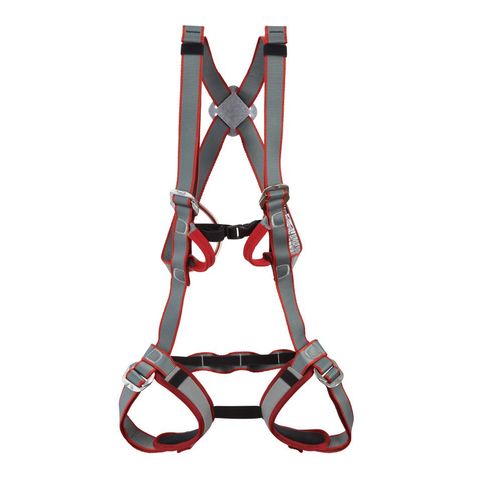 DMM Tom Kitten Harness