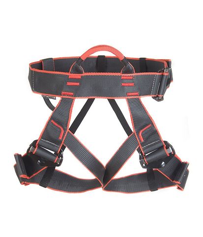 Edelweiss Mygale 2 Harness