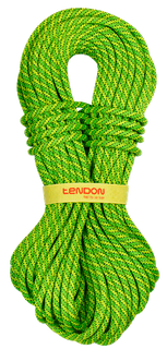 Tendon Ambition 9.8mm x 80M Dry