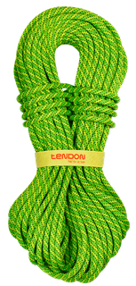 Tendon Ambition 9.8mm x 60M Dry Black/Green