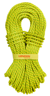 Tendon Ambition 9.8mm x 50M