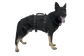 K9 Proseries Rappel Harness